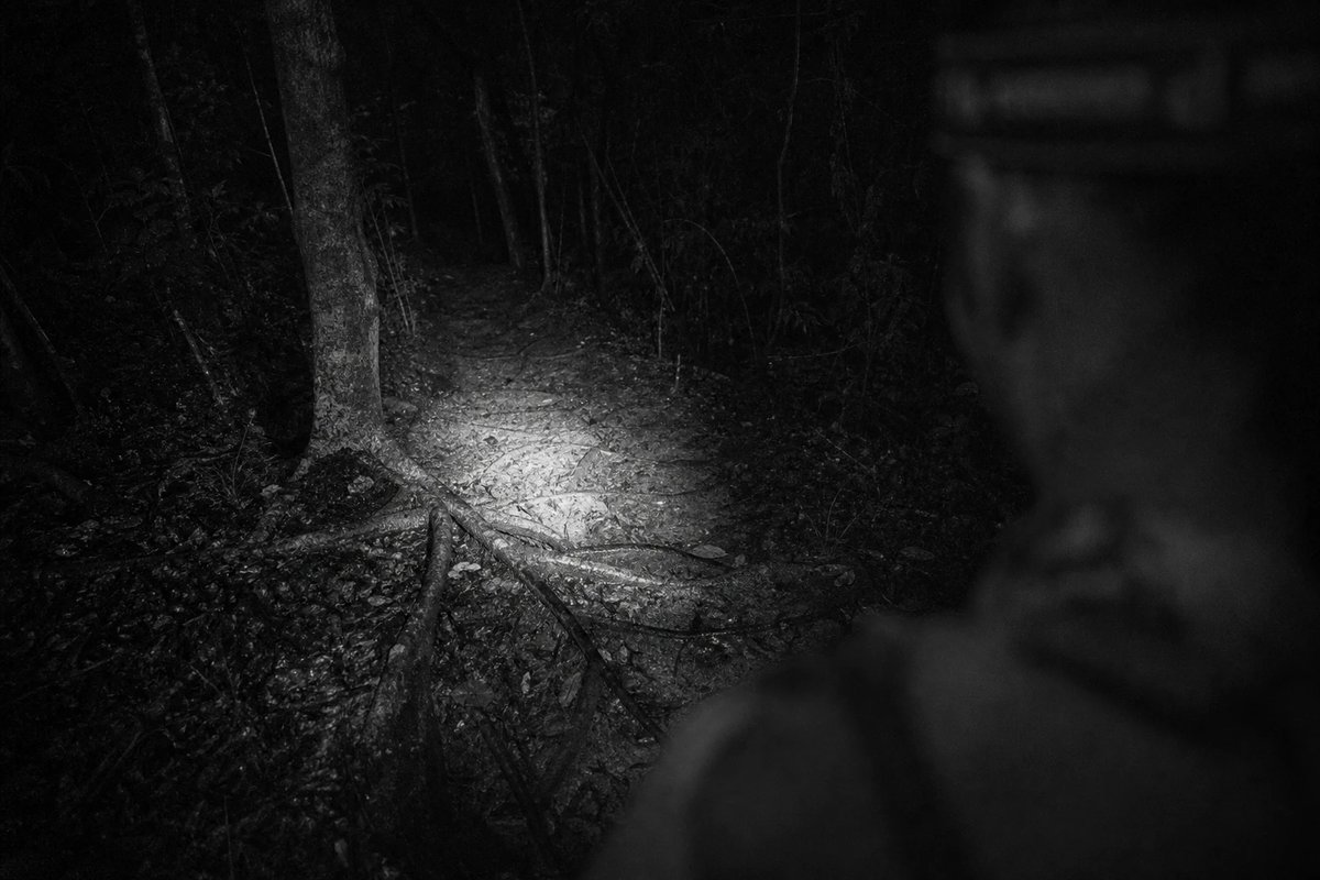 Schwarzweißaufnahme bei Nacht: Der Lichtkegel einer Stirnlampe leuchtet auf einen dunklen Waldweg und macht nasses Laub, eine dicke Baumwurzel und unebenen Boden direkt voraus sichtbar, mit langen flachen Schatten